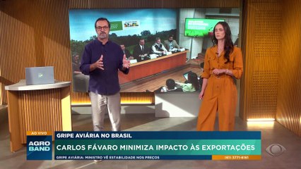 Brasil deve ficar livre da gripe aviária em 28 dias, diz Fávaro