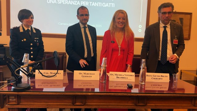 Brambilla - Nuovo farmaco salvavita, una speranza per tanti gatti (20.05.25)