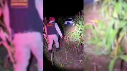 BPRv apreende 17 quilos de maconha durante fiscalização em Jaguapitã
