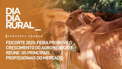FEICORTE 2025: feira promove o crescimento do agronegócio