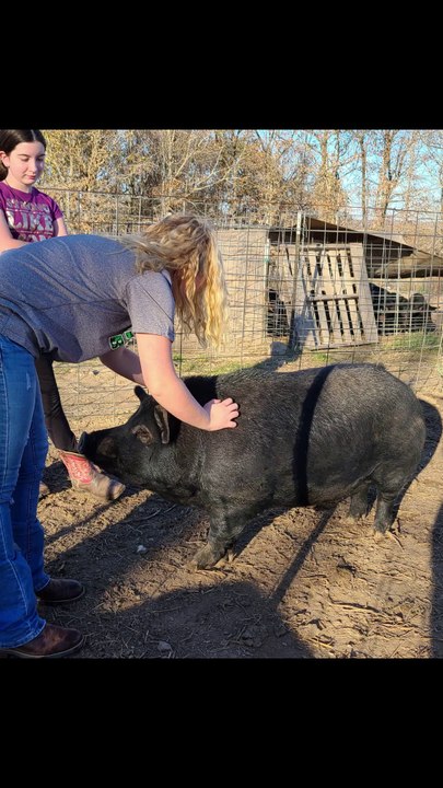 Congratulations to the Super Best Farm Volunteer