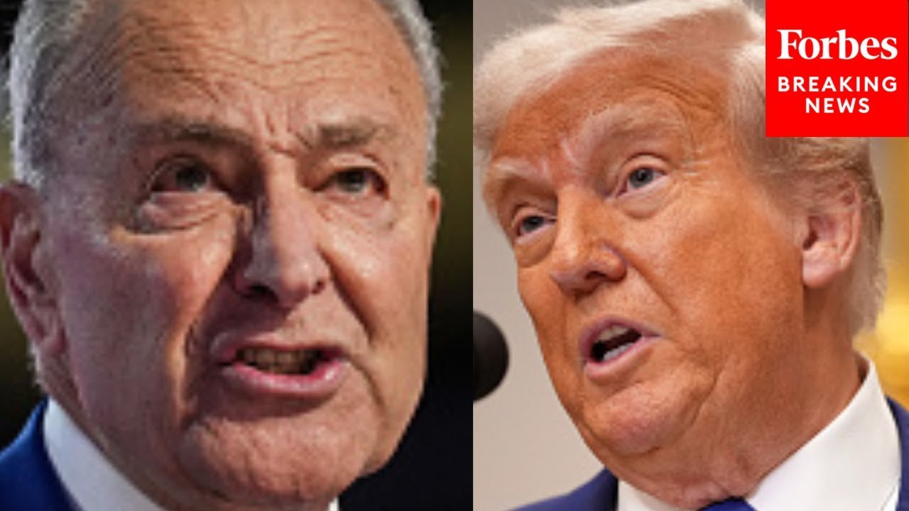 Chuck Schumer Torches Trump For Telling US Companies To 'Eat' Tariffs Amid 'Stupid' Trade War