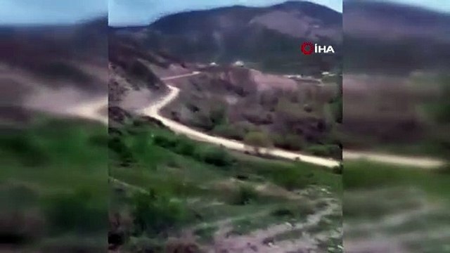 Ayı saldırısından köpekler sayesinde kurtuldu