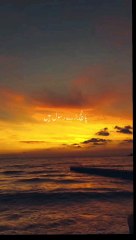 Islamic Qoutes