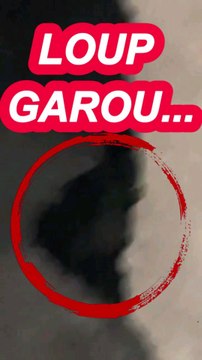 RÉEL LOUP GAROU #mystere #horror #paranormal