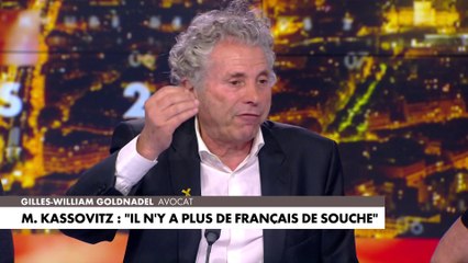 Gilles-William Goldnadel: «Cela véhicule le masochisme français»