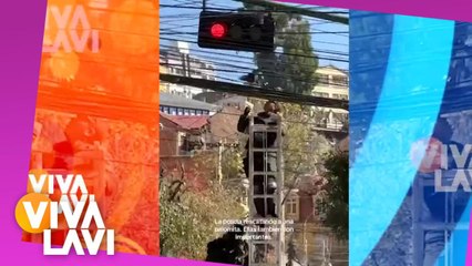 Policías rescatan a paloma atrapada entre cables de energía