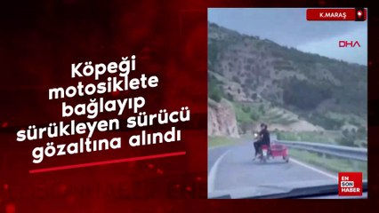 Kahramanmaraş'ta köpeği motosikletle sürükleyen sürücü gözaltına alındı