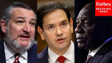 Ted Cruz Asks Marco Rubio How South Africa Is 'Undermining American National Security'