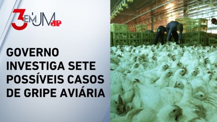 Relações estremecidas? Brasil pede à China que limite embargo de frango