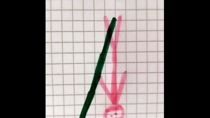 Ninja rosa personaggi 1