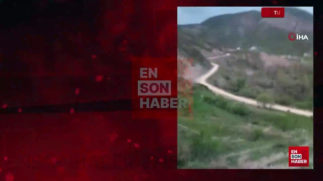 Tunceli'de ayı saldırısından köpekler sayesinde kurtuldu