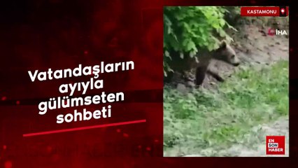 Kastamonu'da vatandaşların ayıyla gülümseten sohbeti
