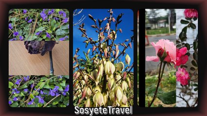 Duygusal ve Anlamlı Sözler ile Geceye Yolculuk