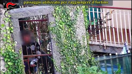 Palermo - DROGA. TRAFFICO E SPACCIO ALL'OMBRA DELLA MAFIA CATANESE, 14 MISURE  (20.05.25)