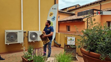 Bologna - AMBIENTE. "LE API? CI AMANO", ECCO L'ARNIA IN COMUNE A BOLOGNA (20.05.25)