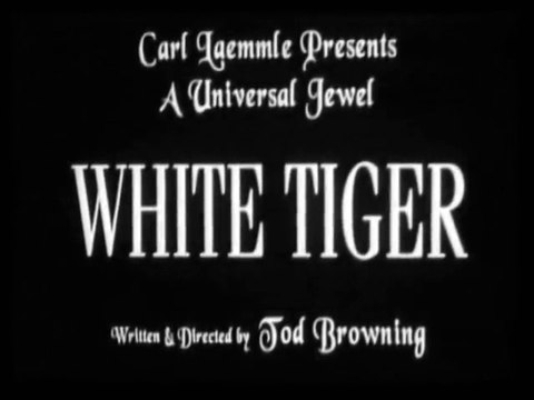 White Tiger (1923) – A Silent Crime Thriller of Deception and Fate