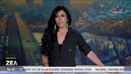 Aumentan las picaduras de araña violinista en México