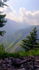 It is human nature to always love natural things and natural environments, such as village life. This is my personal experience.