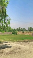 It is human nature to always love natural things and natural environments, such as village life. This is my personal experience.