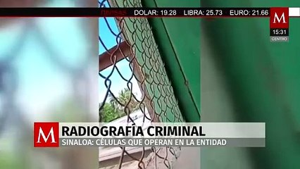 Estructura criminal de Sinaloa: las células y brazos armados que operan en el estado