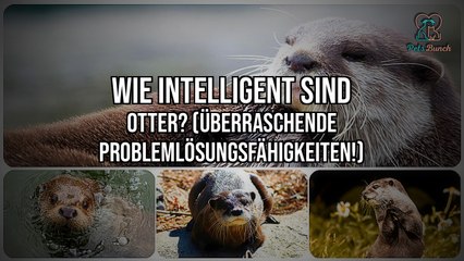 Wie Intelligent Sind Otter? | Entdeckt ihre überraschenden Problemlösungsfähigkeiten!