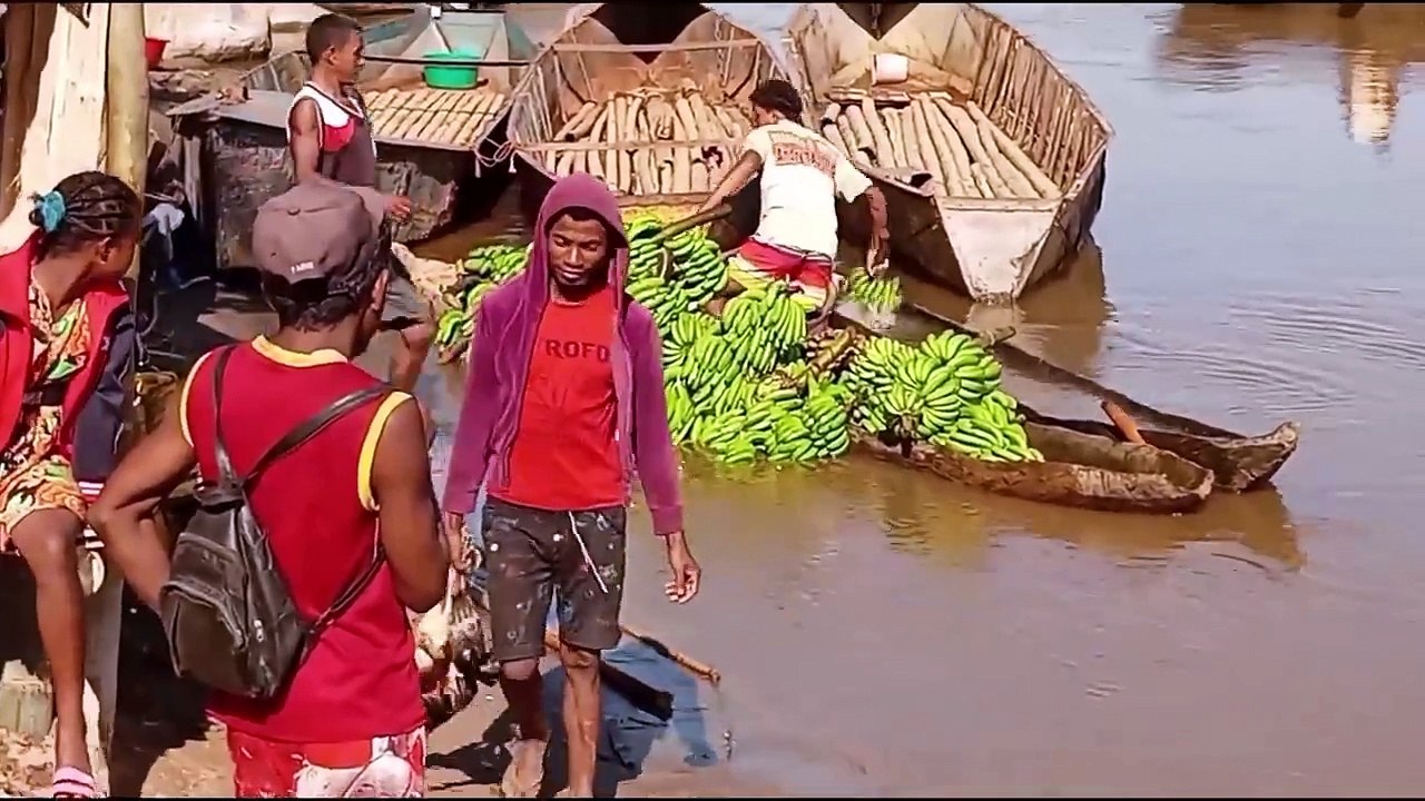 la culture et la route de fou pour aller cherche nôtres vanille à Madagascar