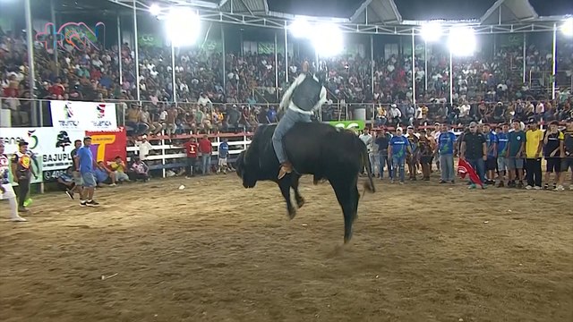Verano Toreado- Más que toros, una misión con propósito qn-Verano Toreado- Más que toros, una misión con propósito-210525