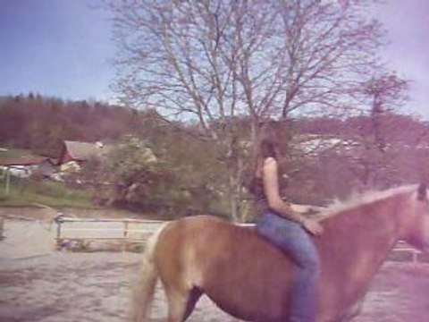 Monte en liberté + sauts