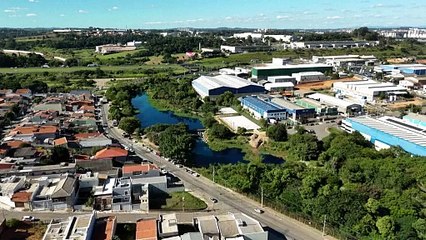 Animais ficam azuis após carreta se acidentar e derramar corante em córrego