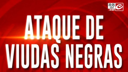 Testimonio exclusivo de una Viuda Negra: así seducen a  sus víctimas