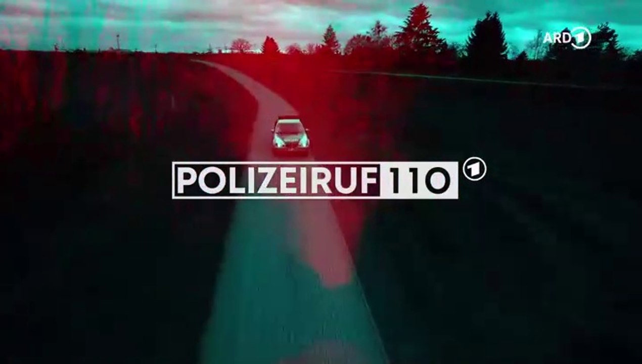 Polizeiruf 110 -417- Widerfahrnis