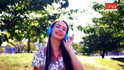 🎶 ¿Por qué nos gusta la música que nos gusta?