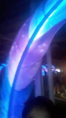 #445. Under the single lighted feather.