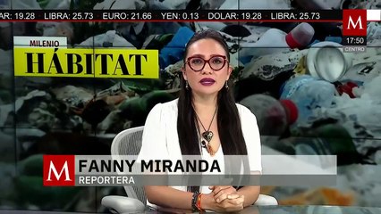 Inicia campaña de detección de emisiones vehiculares con sensores remotos | Milenio Hábitat