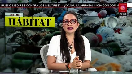 Detectan dos ‘albercas de calor’ que podrían intensificar huracanes | Milenio Hábitat