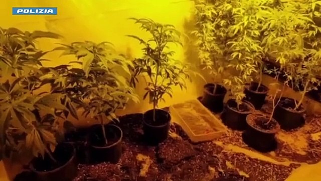 Reggio Calabria - Traffico di droga riciclaggio ed armi la Polizia arresta 24 persone tra Italia e Spagna (21.05.25)