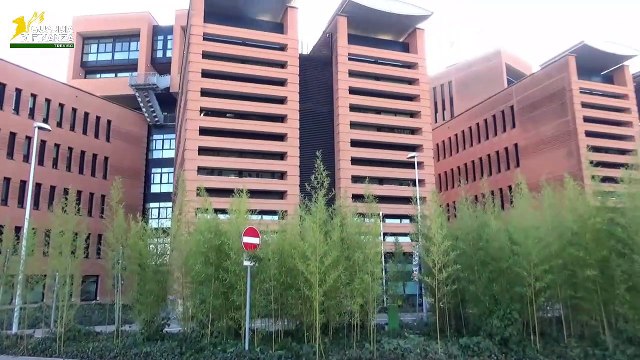 GdiF TREVISO: CONTRABBANDO DI PRODOTTI ALCOLICI E SICUREZZA DEI CONSUMATORI. SEQUESTRATE A IMPRENDITORE CINESE OLTRE 25 TONNELLATE DI DERRATE ALIMENTARI, 2.500 LITRI DI BEVANDE E 18.000 PRODOTTI DESTINATI AL CONTATTO CON IL CIBO (21.05.25)