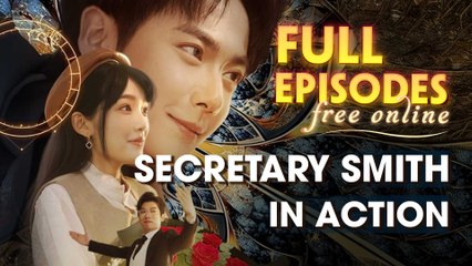 Secretary Smith In Action Chinese Drama