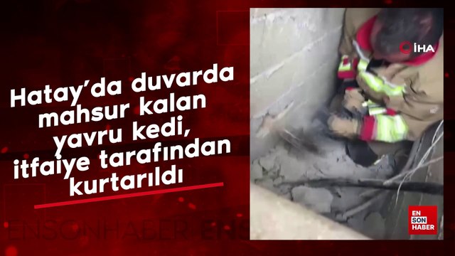 Hatay'da duvarda mahsur kalan yavru kedi, itfaiye tarafından kurtarıldı