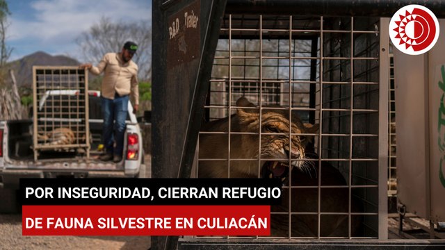 Por inseguridad, cierran refugio de fauna silvestre en Culiacán