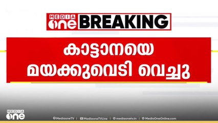 വിതുര-മണലിയിൽ കാലിൽ പരിക്കേറ്റ കാട്ടാനയെ മയക്കു വെടി വച്ചു