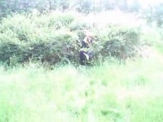 Lu saute dans un buisson