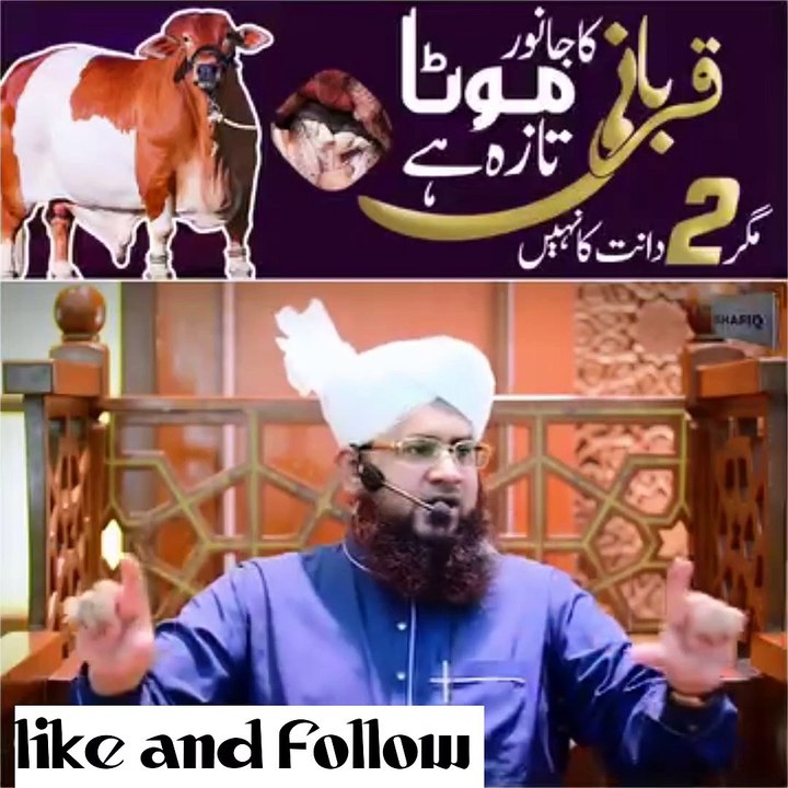 Kya qurbani ka janwar do dant hona jaruri hai, قربانی کا جانور موٹا ...