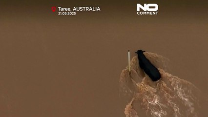 Trwają akcje ratunkowe po powodzi w Nowej Południowej Walii po intensywnych opadach deszczu