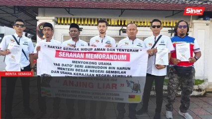 NGO cadang anjing liar diserah kepada pencinta haiwan, bukan lupuskan