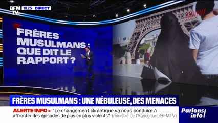 LES ÉCLAIREURS - Que dit le rapport sur les Frères musulmans?