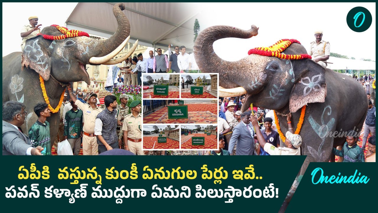 Kumki Elephants Names | నాలుగు మగ , ఒక ఆడ ఏనుగు అప్పగింత | Oneindia telugu