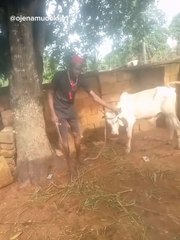 High Chief Ojenamuo Okija has the solution you need don't hesitate to reach out to him