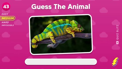 Guess 120 Animals in 3 Seconds | Easy, Medium, Hard, Impossible